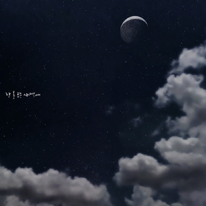 잠 못 드는 새벽에 (Forest Ver.)
