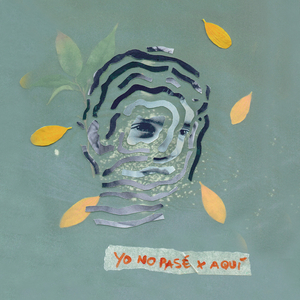 Yo no pasé por aquí