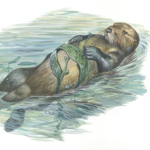 Loki'nin Zaferi ve Tanrıların Ortak Mutluluğu