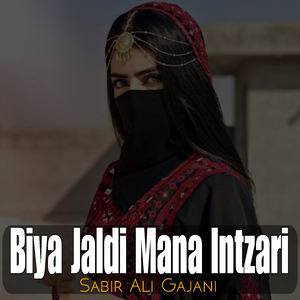Biya Jaldi Mana Intzari