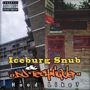 HOOD LIKE ? (feat. DJ TECHNIQUE)