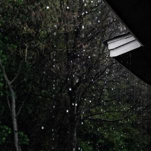 山窗夜雨
