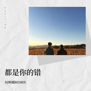 陈慧琳-陈慧琳 - 都是你的错(DJ阿超Bounce Mix 2023)（DJ阿超 remix）