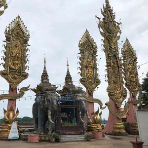 三年后我从金三角特区回来了 我再也不是当初那个穷小子了