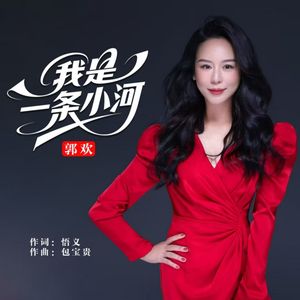 我是一条小河（2026DJ新版）