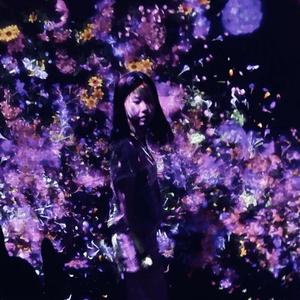 和你到小城走一回