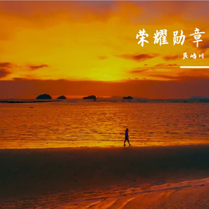 荣耀勋章