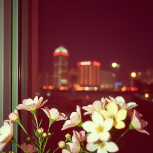 ガラス越しの君へ