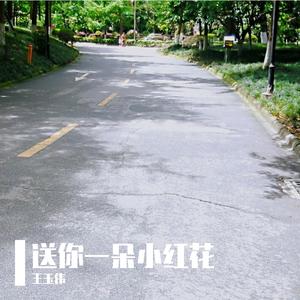 送你一朵小红花（翻自 秦晨阳）