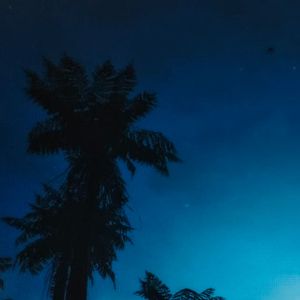 Melodic Rap Type Beat “Night Wind”
