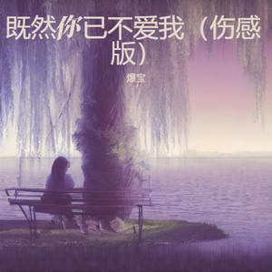 既然你已不爱我 (伤感版)