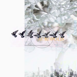 纪念（untitled）