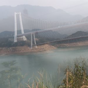 在中国我们不说我想你