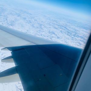 Never Coming Back Nomo