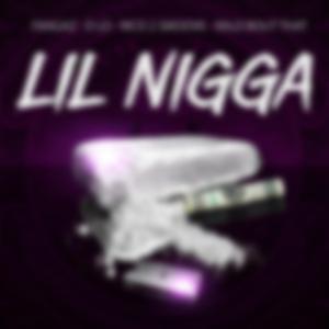Lil Nigga (feat. D-Lo, rico 2 Smoove & Ralo Bout That)