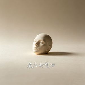 最后的真相（新金属版）