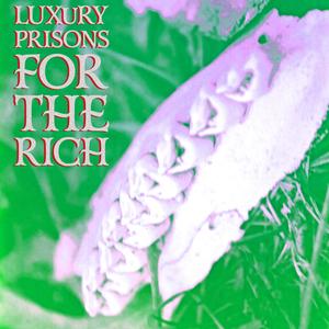 Luxury Prisons For The Rich