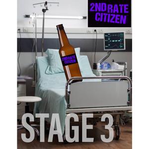 Stage 3