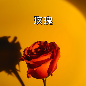 玫瑰
