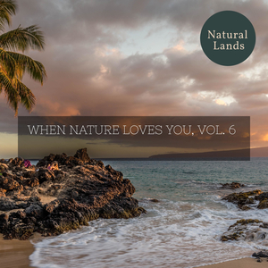 Unicolored Birds in The Forest