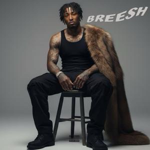 Breesh