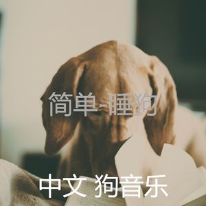 太棒了(狗睡觉)