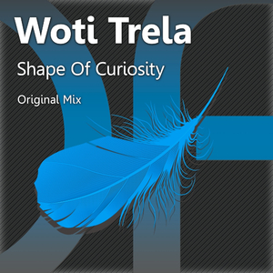 Shape Of Curiosity (Original Mix)