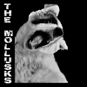 Capitalism kills people because killing people makes the market work.Capitalism is racist because racism makes the market work. For every 10 houseless people at the start of the 2020s there are now 38. Thirty ****ing eight. (XVI Dinky Hocker Shoots Smack)