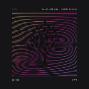 Passenger (Ampish Remix)