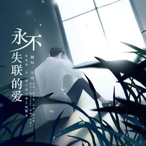 永不失联的爱（女版翻唱）（翻自 周兴哲）