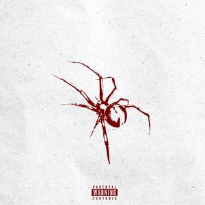 SPiDER dr