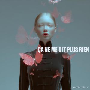 Ça ne me dit plus rien