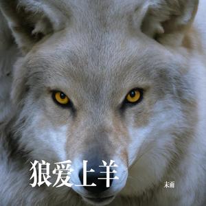 狼爱上羊