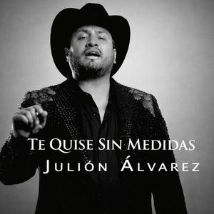 Te Quise Sin Medidas