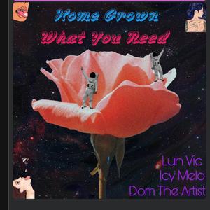 What You Need (feat. Dom The Artist & Icy Melo)