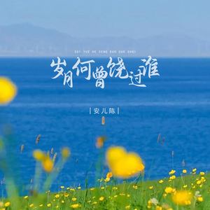 岁月何曾饶过谁 (DJ版)