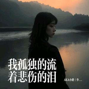 我孤独的流着悲伤的泪