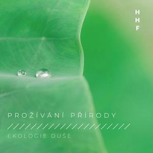 Nenásilí, pravda a soucit