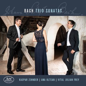 Trio Sonata in D Minor, Wq. 145 (Attrib. J.S. Bach's BWV 1036) [Arr. for 2 Flutes & Harpsichord]: II. Allegro