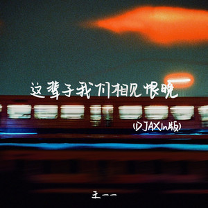这辈子我们相见恨晚 (DJAX1n版)