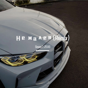 Miyagi & Andy Panda-Не жалея（Seven7 / ZEUS remix）