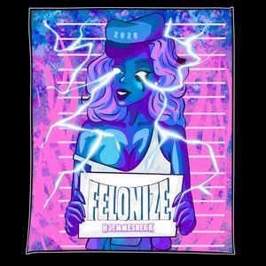 Felonize (Hjemmesnekk)