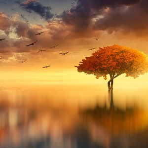 Sonata in C Major,1st Mvt. Allegro