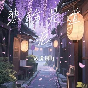 悲伤是道疤(Cover 宋孟君)