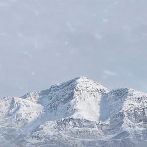 春怀雪