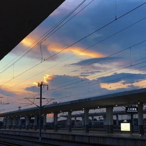 夏日骑行的自由