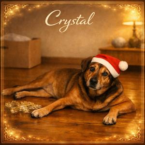 Crystal