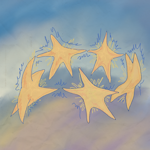 뻔한 말（老套的情话）