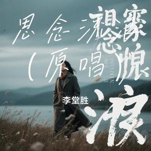 思念流浪 (原唱)