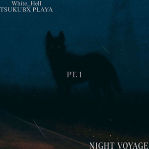 NIGHT VOYAGE PT.1